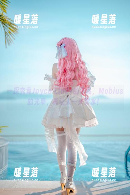 Joyce Lin2x 一探究竟Joyce Lin2x的作品,Mobius的光晕,真让人一头雾水!
